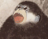 猿