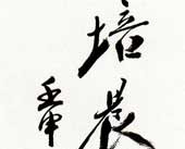 书法 尉天池